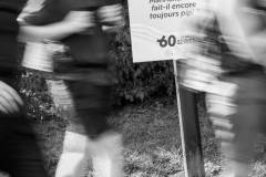 DP2_2198